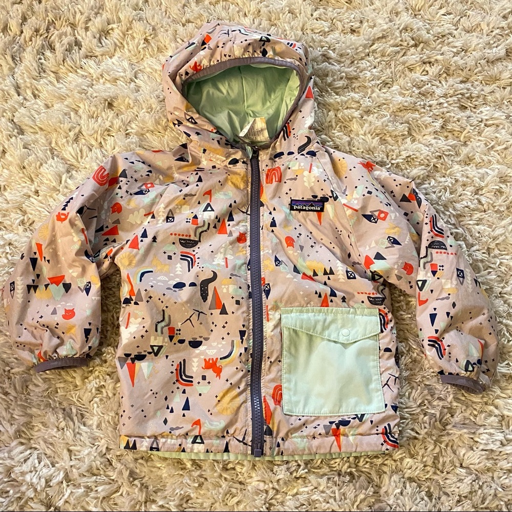 Patagonia Reversible Jacket